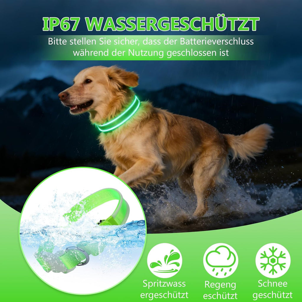 LED-Leuchthalsband für Hunde in Grün, Größe M – Bild 5
