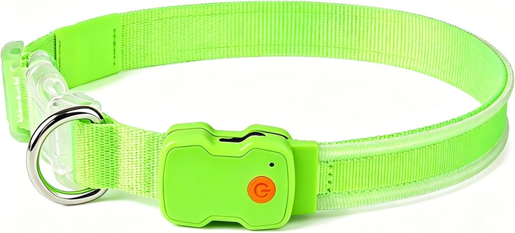 LED-Leuchthalsband für Hunde in Grün, Größe M