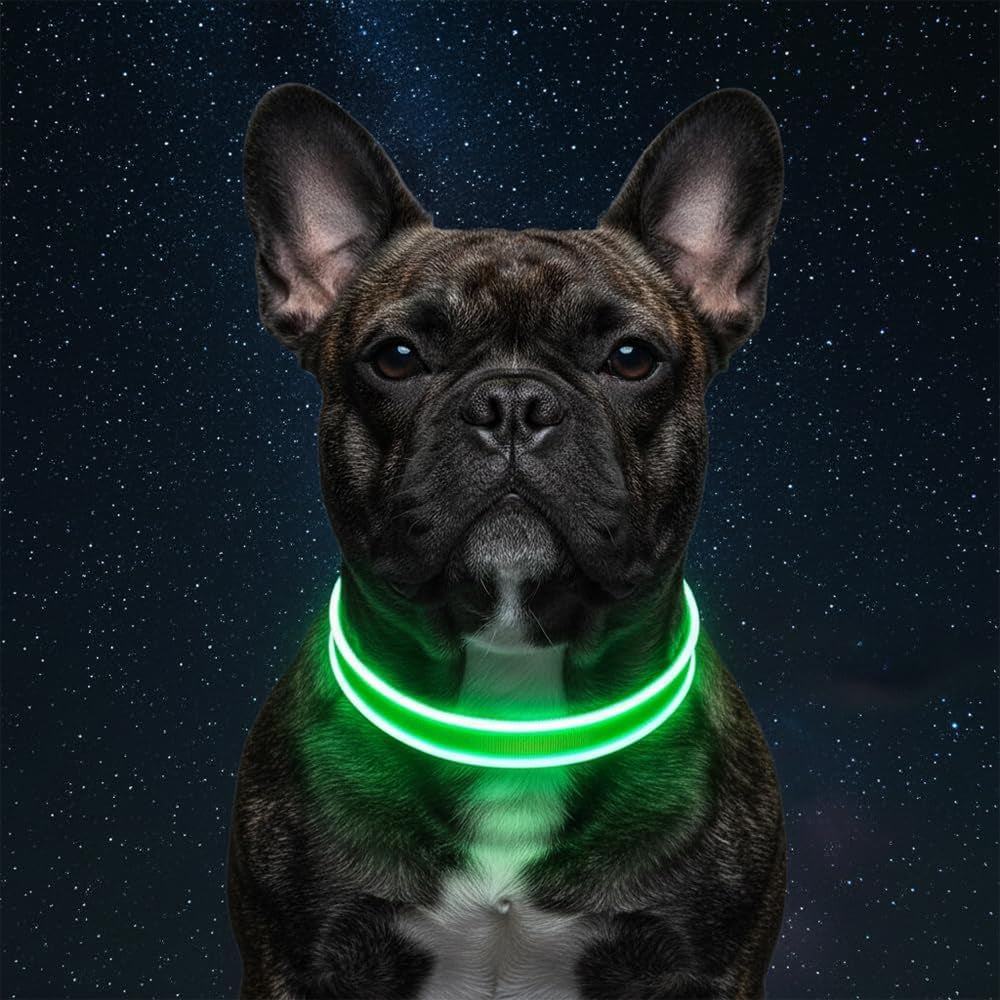 LED-Leuchthalsband für Hunde in Grün, Größe M – Bild 7