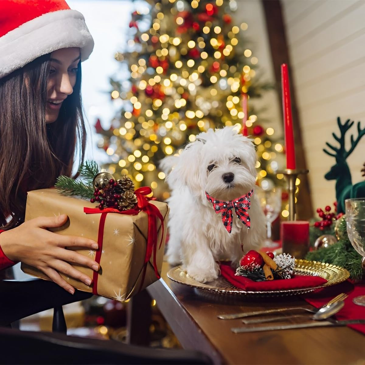 Rot kariertes Weihnachtshalsband mit Fliege für kleine Hunde & Katzen – Bild 4