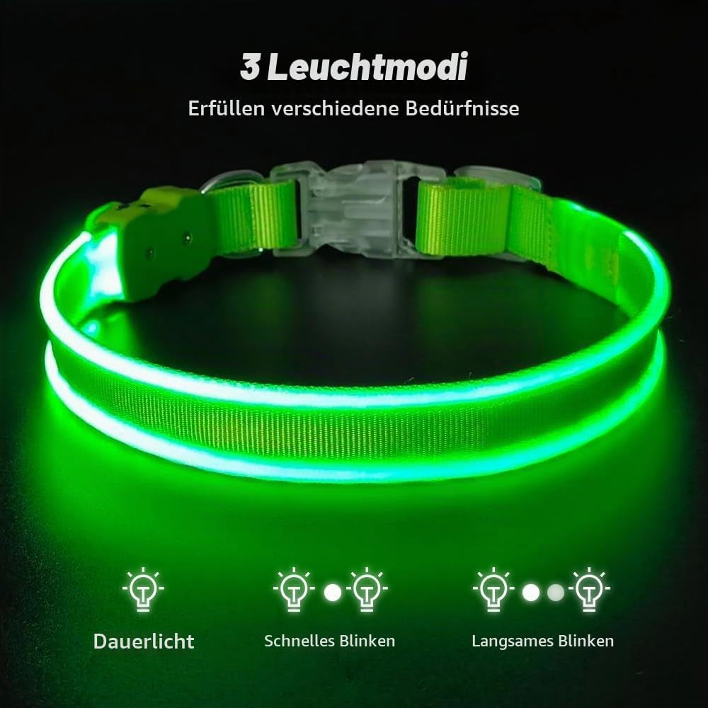LED-Leuchthalsband für Hunde in Grün, Größe M – Bild 2