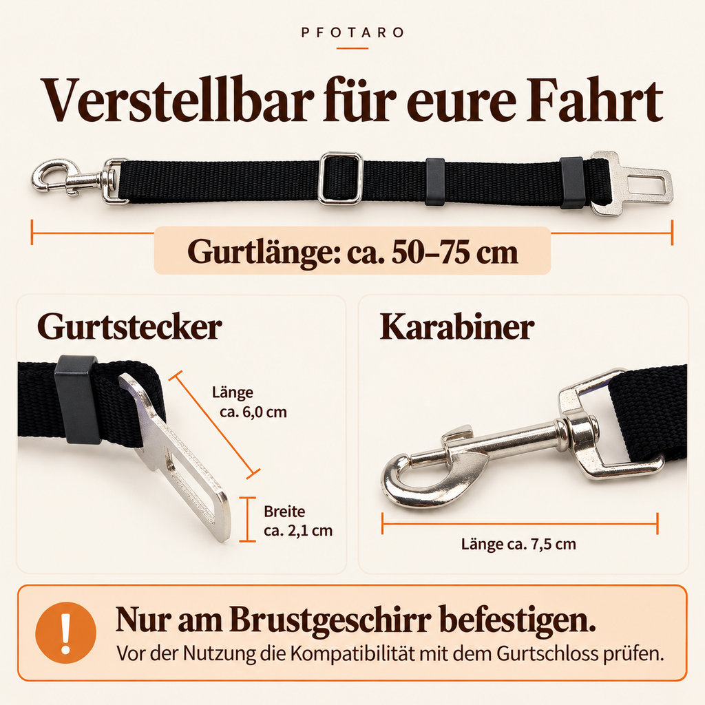 Anschnallgurt: Maße und Befestigung am Brustgeschirr