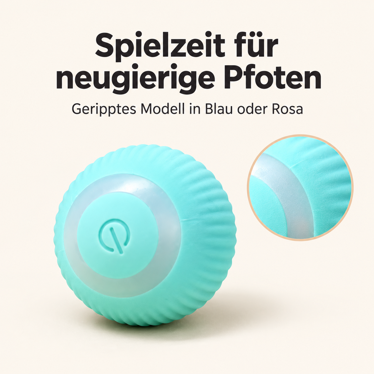Spielzeit für neugierige Pfoten